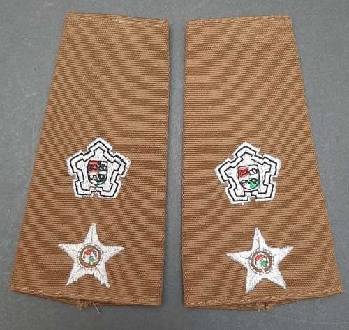 BID PER PAIR : 1980s SADF  Lieutenant-Colonel  Nutria Unissued Rank Epaulettes.**