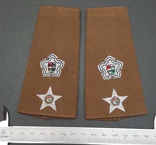 BID PER PAIR : 1980s SADF  Lieutenant-Colonel  Nutria Unissued Rank Epaulettes.**