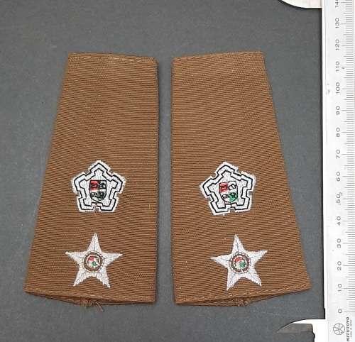 BID PER PAIR : 1980s SADF  Lieutenant-Colonel  Nutria Unissued Rank Epaulettes.**
