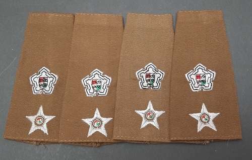 BID PER PAIR : 1980s SADF  Lieutenant-Colonel  Nutria Unissued Rank Epaulettes.**