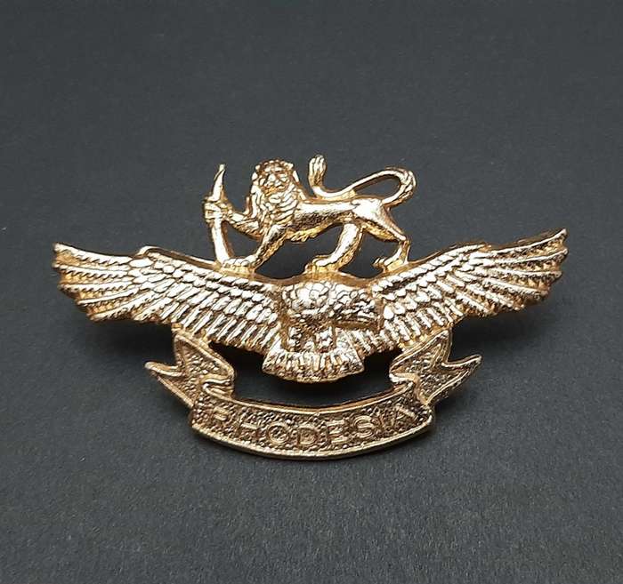 **Rhodesian Bush War: 1970s Rhodesian Air Force  Metal Cap Badge w/ Lugs  #1**