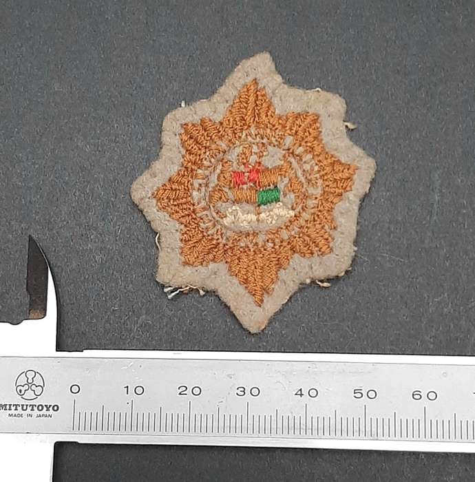 Border War: 1980s  2nd Pattern Camouflage Embroidered Cap Badge