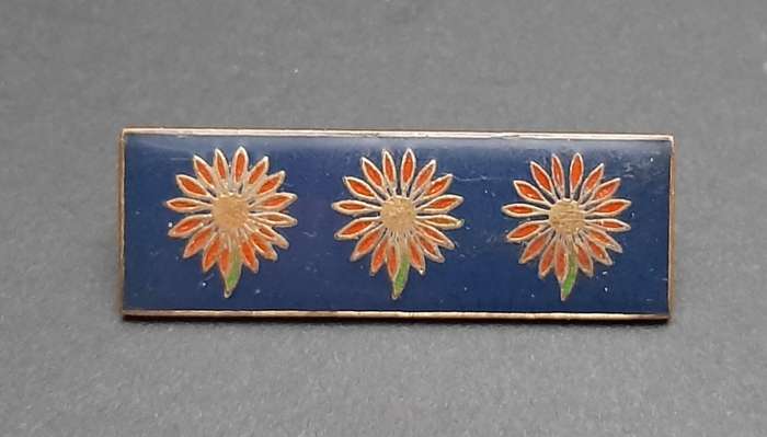 **Border War : 1980s SADF Northern Transvaal Command Bar (Pins Intact).**