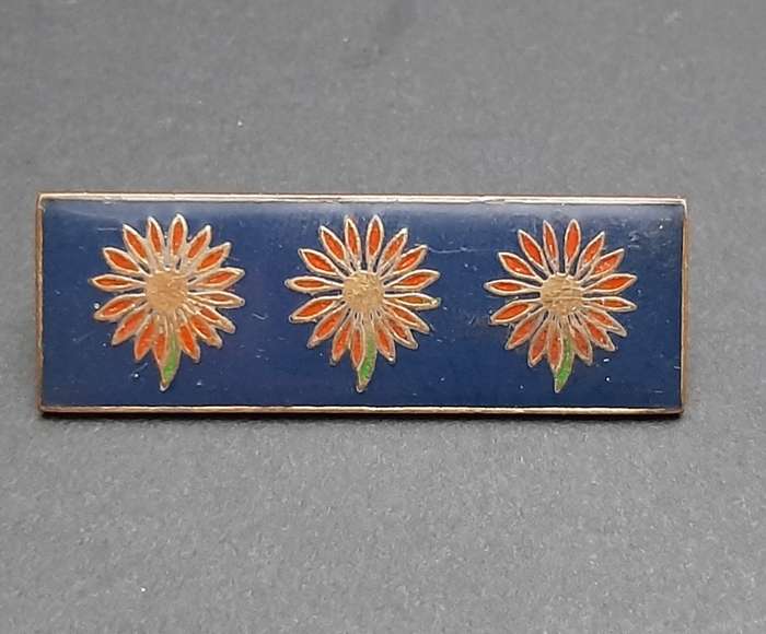 **Border War : 1980s SADF Northern Transvaal Command Bar (Pins Intact).**