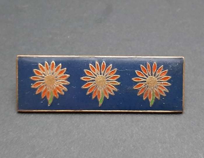 **Border War : 1980s SADF Northern Transvaal Command Bar (Pins Intact).**