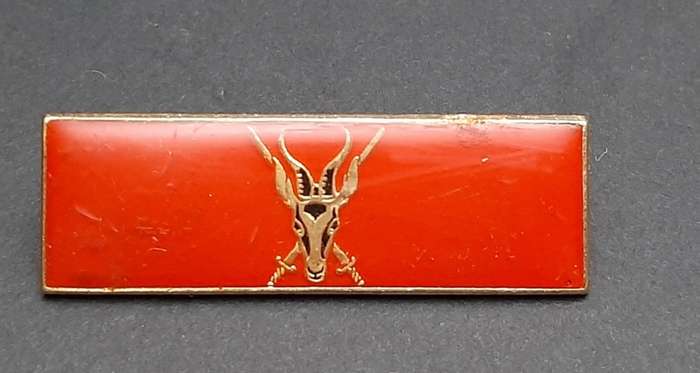 **Border War : 1980s SADF Army HQ Command Bar (Pins intact).**