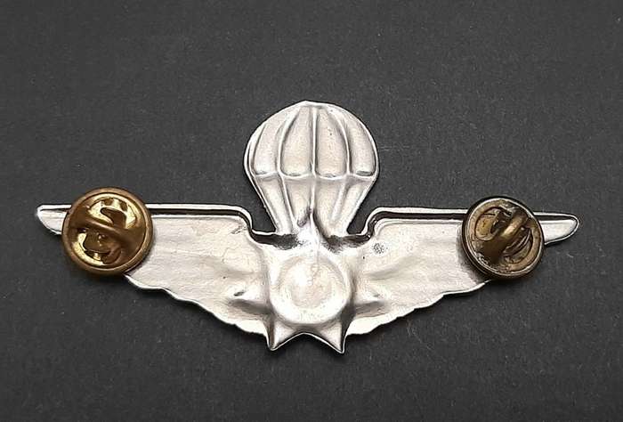 **Border War : 1980s Ciskei Police Special Task Force Para Wings (All Pins).**
