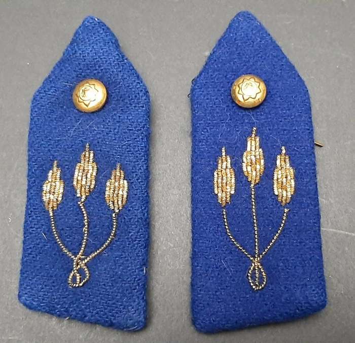 **Border War : 1970s  Brigadier Blue Rank Bullion Gorgets x2 *