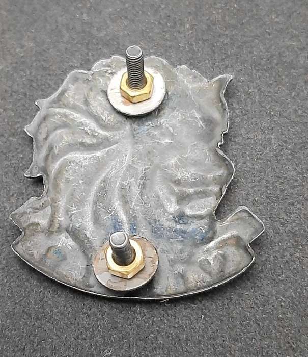 **RARE: 1994/95 SANDF State President`s Guard Cap/ Beret Badge (Proposed).**