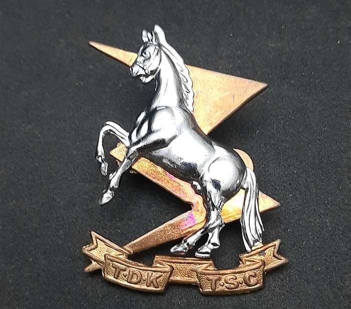 **Border War : 1980s SADF Technical Service Corps Beret Badge w/ Lugs  (LARGE).**
