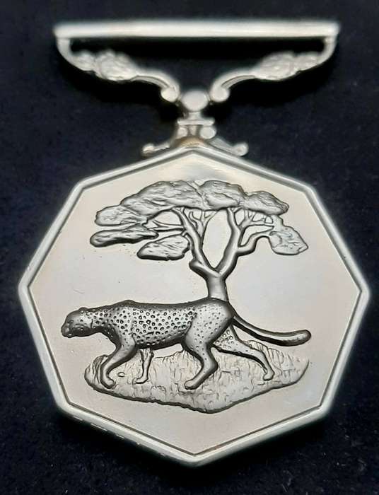 **Border War : 1980s SADF Type I Southern Africa Medal (Rim Numbered).**
