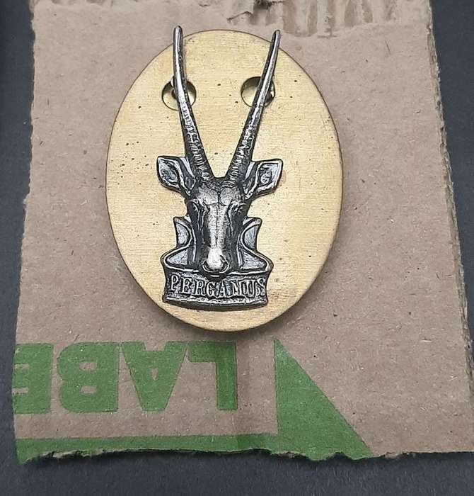 **Border War : 1980s SWATF Unissued HQ Beret w/ Badge & Stabilizer (Medium).**