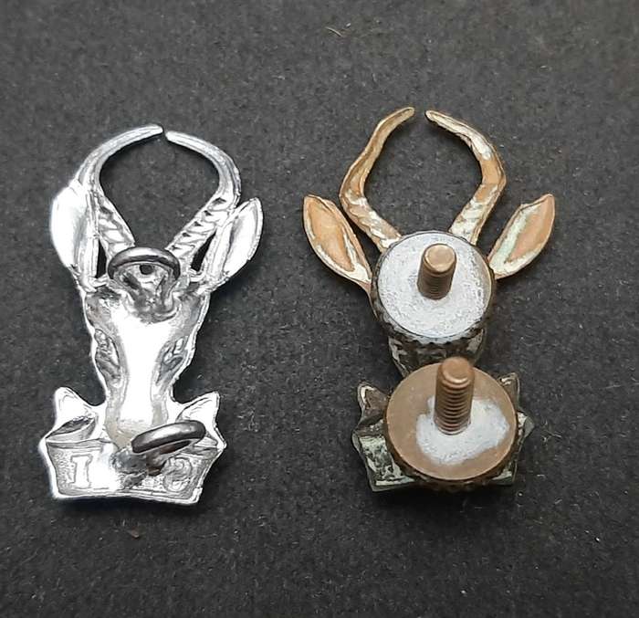 **Border War : 1960s / 70s SADF 'Bok Kop' Beret Badges x2 (Lugs Intact).**