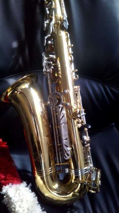 Selmer Alto Sax