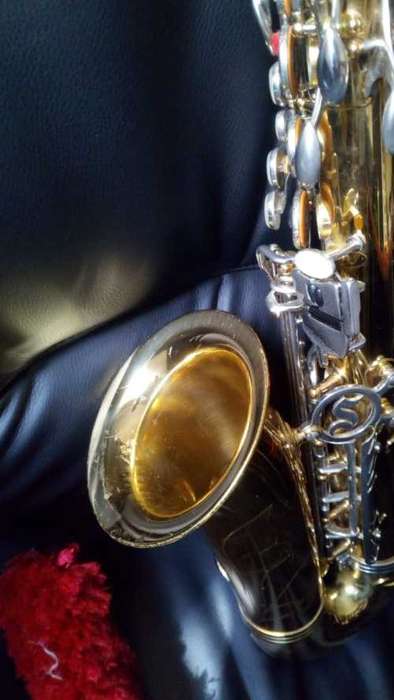 Selmer Alto Sax