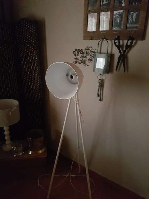 Industrial Style Floor Lamp