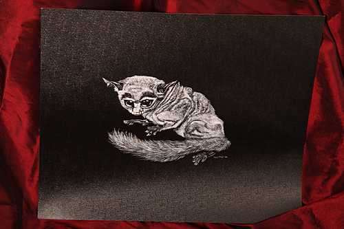Original Etching Bushbaby by Tony Mills unframed