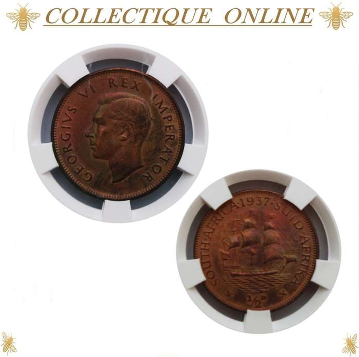 1937 : UNION S. A. : HALF PENNY : COIN IN AU 58 - RD  : Low Minted 638.256 : GRADED by S.A.N.G.S.