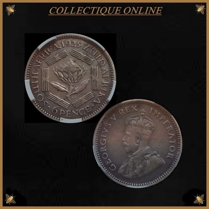 1925 : UNION S. A : 6 PENCE : RARE IN HIGH GRADE  VERY LOW Minted 79.231 : GRADED by S.A.N.G.S.