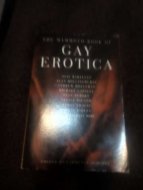 The mammoth book of Gay Erotica