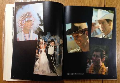 BOOK SETTLING DOWN JAMES WHITAKER LADY DIANA and PRINCE CHARLES 1981 SOFTCOVER.