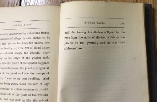 HINDOO TALES or The Adventures of Ten Princes Philip Whittington Jacob Strahan & Co London 1873 RARE