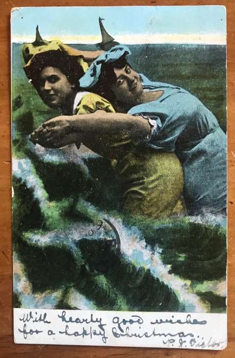 POSTCARD POST CARD POSKAART No. 236 2 WOMEN MURRAYSBURG to ROSMEAD CAPE of GOOD HOPE
