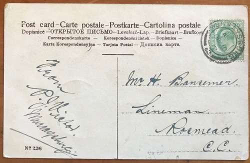 POSTCARD POST CARD POSKAART No. 236 2 WOMEN MURRAYSBURG to ROSMEAD CAPE of GOOD HOPE