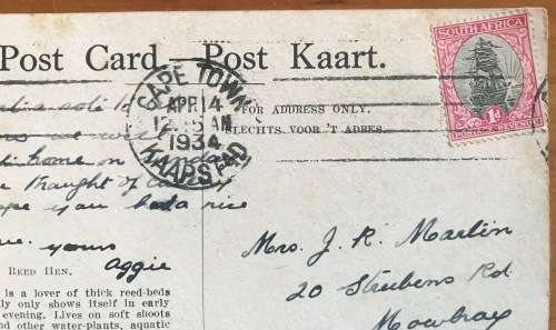 POSTCARD POST CARD POSKAART KING REED-HEN WATER BIRD CAPE TOWN 1934 SHIP
