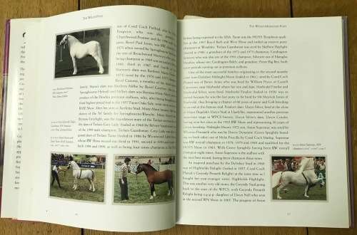 THE WELSH PONY WYNNE DAVIES 1st EDITION 2006 GREAT BRITAIN HARDCOVER