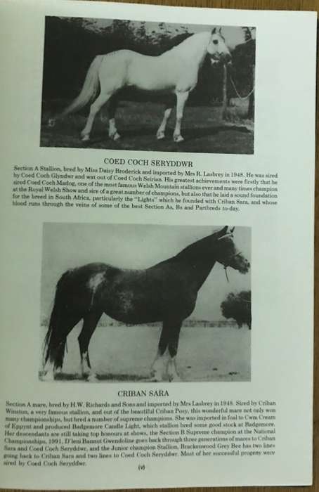 THE SOUTH AFRICAN WELSH PONY & COB STUD BOOK VOL 2 1991 MARES STALLIONS GELDINGS 1983-90 & 1950-90.