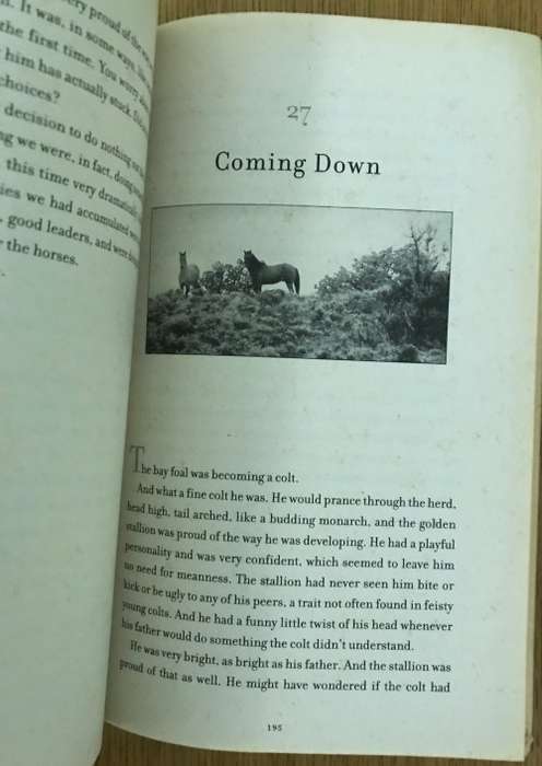 WHISPERING BACK (HORSES) NICOLE GOLDING& ADAM GOODFELLOW INTRODUCTION by MONTY ROBERTS 2004