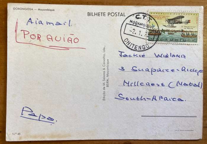 POSTCARD POST CARD - GOGONGOSA NATIONAL PARK MOZAMBIQUE ELEPHANT LION KILL GUINEA FOWL BUFFALO