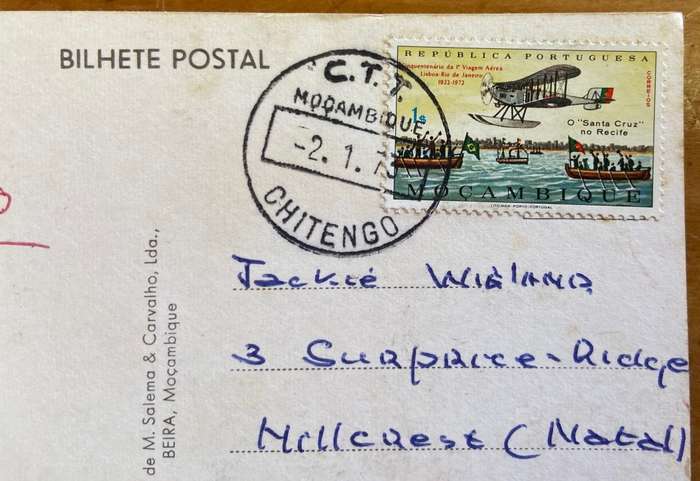 POSTCARD POST CARD - GOGONGOSA NATIONAL PARK MOZAMBIQUE ELEPHANT LION KILL GUINEA FOWL BUFFALO