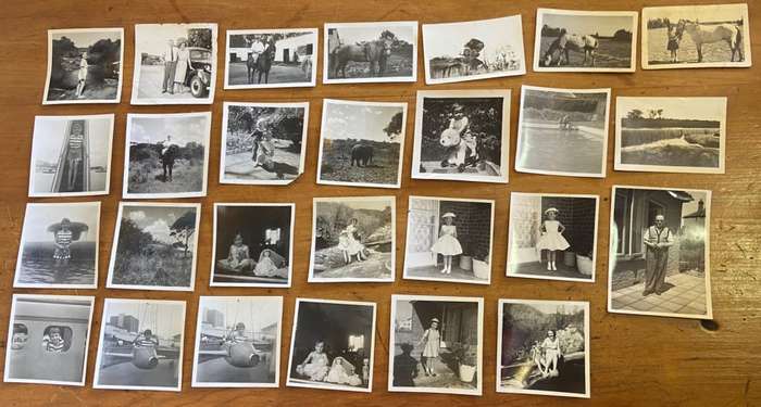 PHOTOGRAPHS x 27 - BLACK and WHITE - MINIATURE / SMALL - UNKNOWN - HORSES - ELEPHANT - VINTAGE CAR.