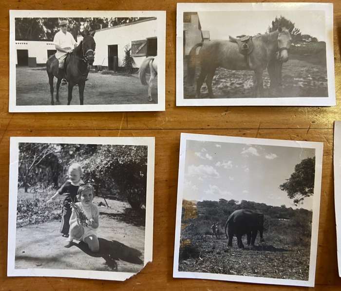 PHOTOGRAPHS x 27 - BLACK and WHITE - MINIATURE / SMALL - UNKNOWN - HORSES - ELEPHANT - VINTAGE CAR.