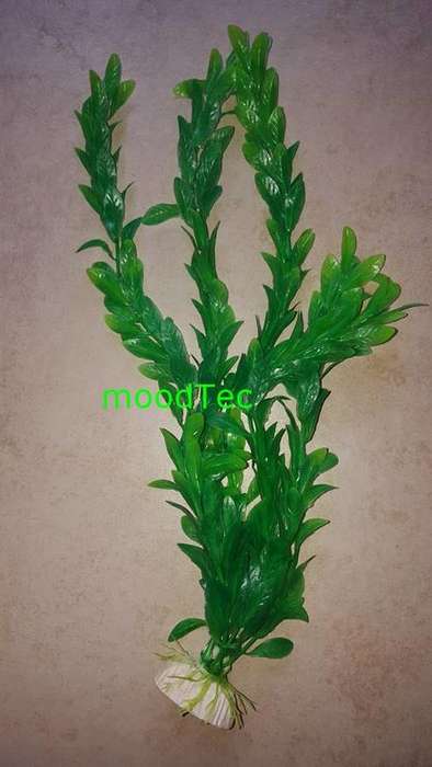 Artificial Plastic Fish Tank Plant - Aquarium Decor (In Stock)