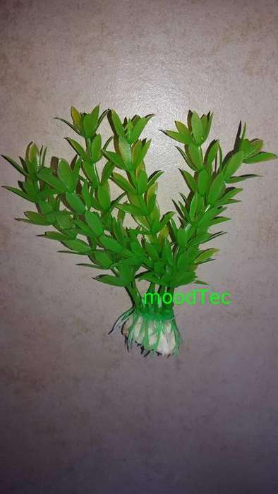 Artificial Plastic Fish Tank Plant - Aquarium Decor (In Stock)
