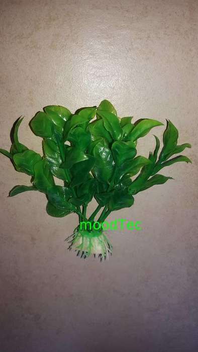 Artificial Plastic Fish Tank Plant - Aquarium Decor (In Stock)