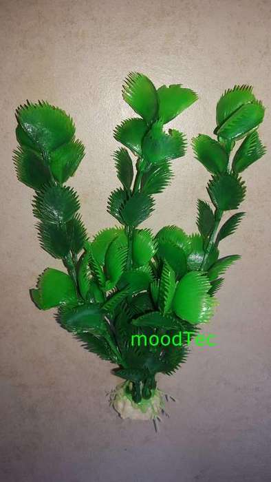 Artificial Plastic Fish Tank Plant - Aquarium Decor (In Stock)