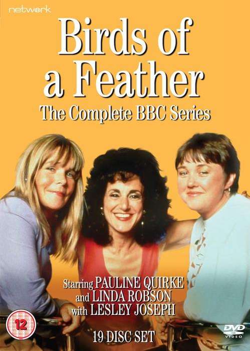 Birds of a Feather - the complete BBC series 1 - 9 (19 disc DVD set)