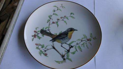 Bird of South Africa collectors plate
