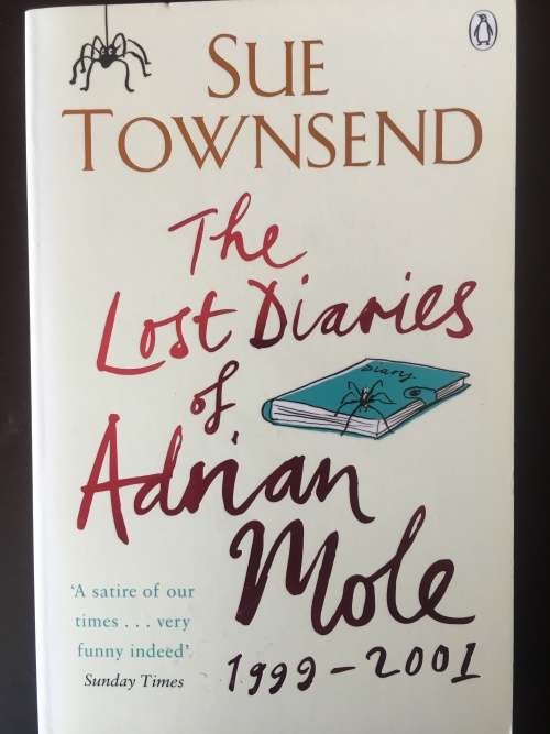 Adrian Mole: The Lost Diaries of Adrian Mole - Sue Townsend