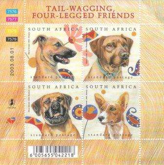 RSA 2003 um Junass / Dogs