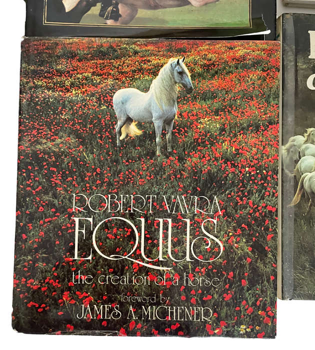 Collection of 20 equestrian books