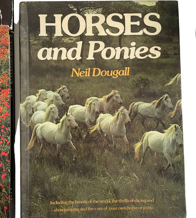 Collection of 20 equestrian books