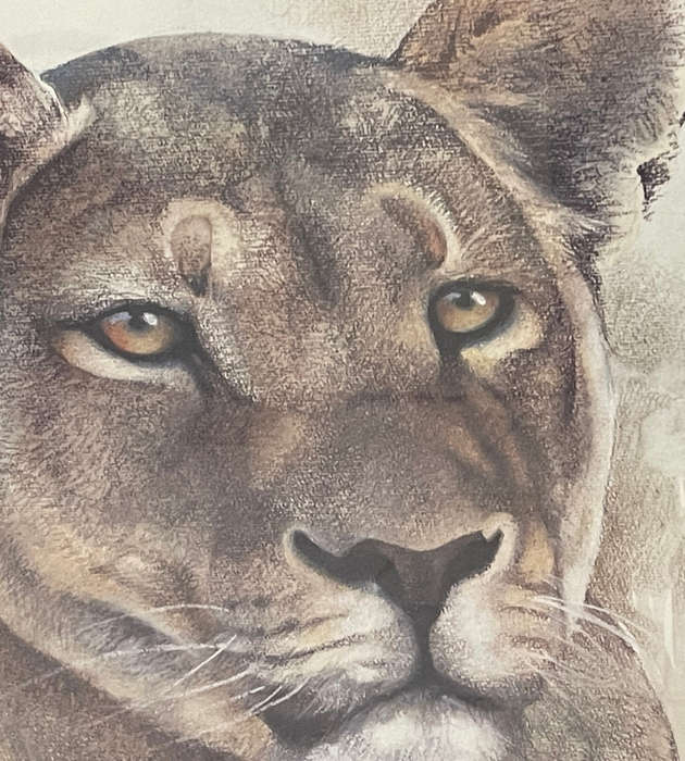 Joan Beuche Lioness Print (1993) - Signed, Framed, 69.5cm x 53cm