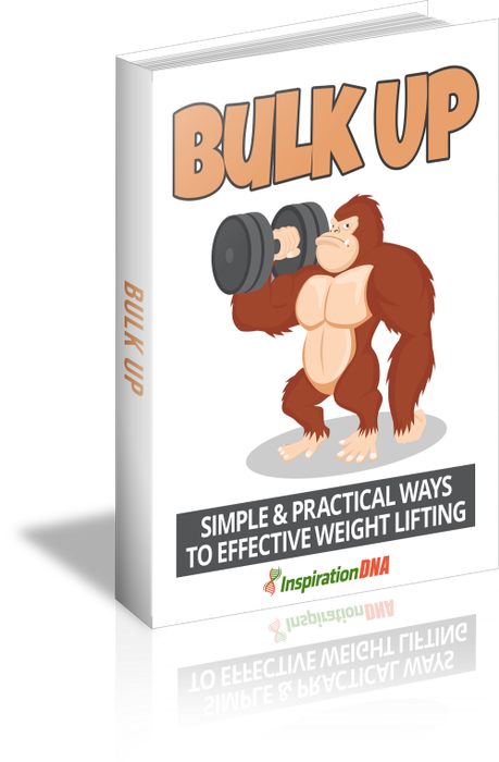 Bulk Up