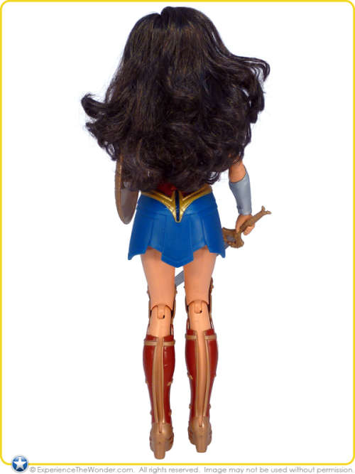 WONDER WOMAN MOVIE Shield Block Figure DC Comics 30cm Action Figure Doll - MATTEL toys 2017