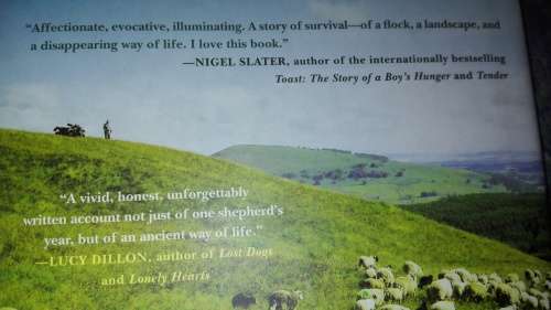 THE SHEPHERD`S LIFE JAMES REBANKS A Tale of the Lake District ( First Edition )